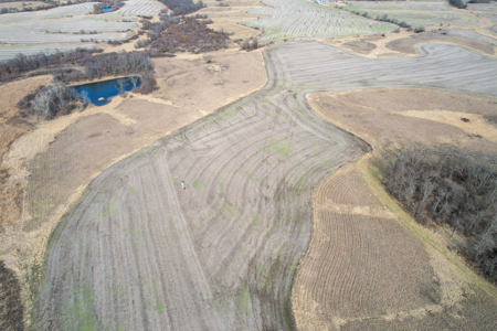 Income Producing Farm with CRP, Row Crop & Timber - image 3