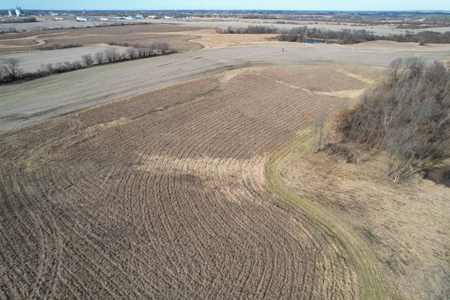 Income Producing Farm with CRP, Row Crop & Timber - image 18
