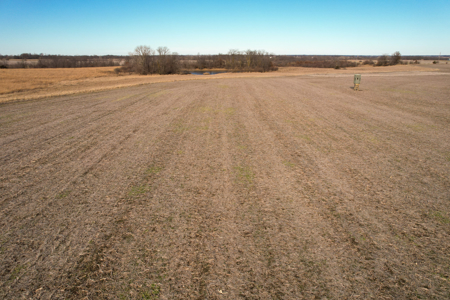 Income Producing Farm with CRP, Row Crop & Timber - image 24