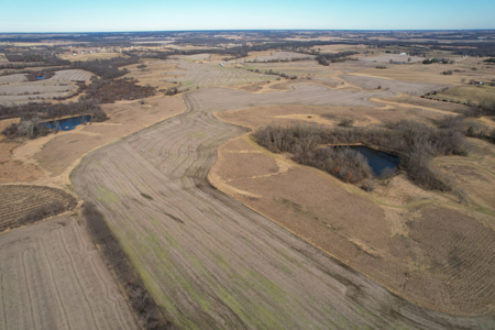 Income Producing Farm with CRP, Row Crop & Timber - image 2