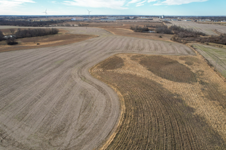 Income Producing Farm with CRP, Row Crop & Timber - image 8