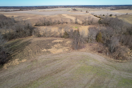 Income Producing Farm with CRP, Row Crop & Timber - image 17