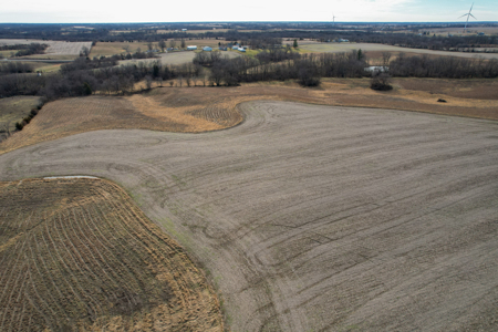 Income Producing Farm with CRP, Row Crop & Timber - image 10