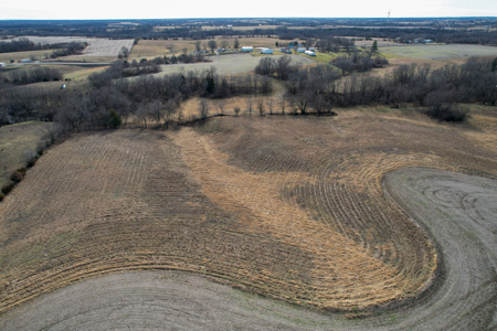 Income Producing Farm with CRP, Row Crop & Timber - image 11
