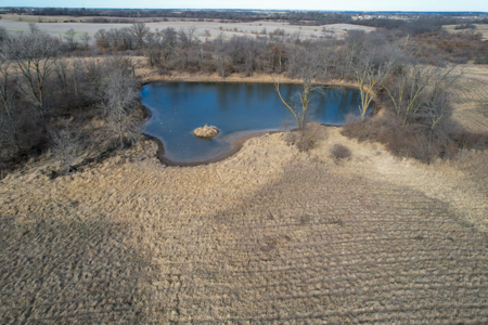 Income Producing Farm with CRP, Row Crop & Timber - image 27