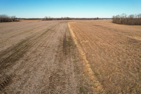 Income Producing Farm with CRP, Row Crop & Timber - image 23