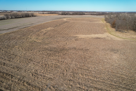 Income Producing Farm with CRP, Row Crop & Timber - image 19