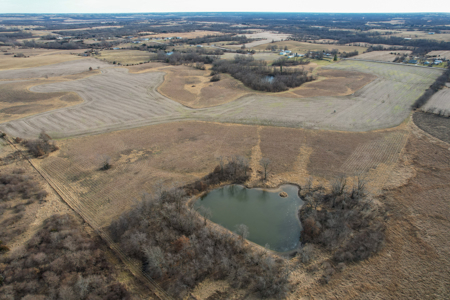 Income Producing Farm with CRP, Row Crop & Timber - image 4