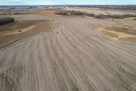 Income Producing Farm with CRP, Row Crop & Timber - image 9