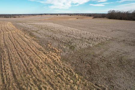 Income Producing Farm with CRP, Row Crop & Timber - image 28