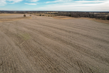 Income Producing Farm with CRP, Row Crop & Timber - image 32