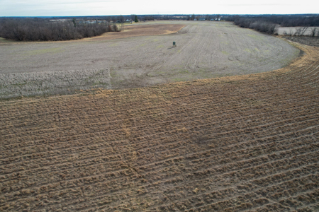 Income Producing Farm with CRP, Row Crop & Timber - image 29