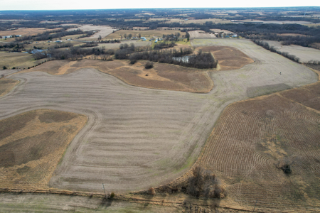 Income Producing Farm with CRP, Row Crop & Timber - image 6