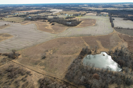 Income Producing Farm with CRP, Row Crop & Timber - image 5