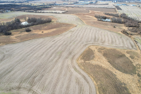 Income Producing Farm with CRP, Row Crop & Timber - image 33