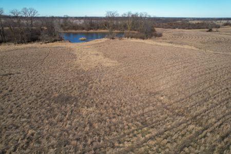 Income Producing Farm with CRP, Row Crop & Timber - image 26