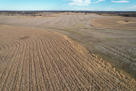 Income Producing Farm with CRP, Row Crop & Timber - image 30