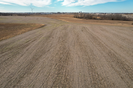 Income Producing Farm with CRP, Row Crop & Timber - image 31