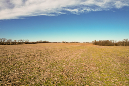 Income Producing Farm with CRP, Row Crop & Timber - image 21