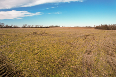 Income Producing Farm with CRP, Row Crop & Timber - image 22