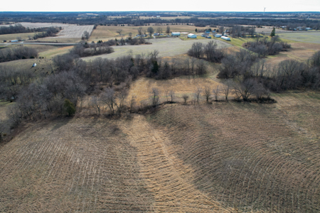 Income Producing Farm with CRP, Row Crop & Timber - image 13