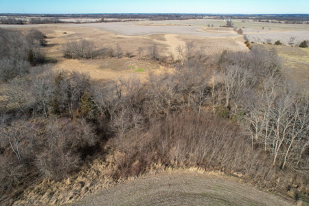 Income Producing Farm with CRP, Row Crop & Timber - image 16