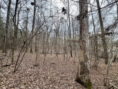 Lake Itawamba Potential Building Site - image 5