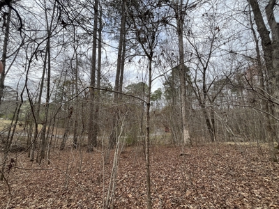 Lake Itawamba Potential Building Site - image 3