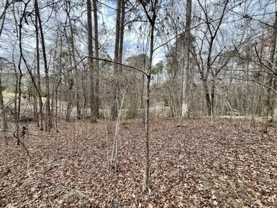 Lake Itawamba Potential Building Site - image 6