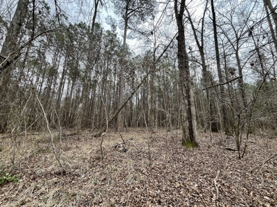 Lake Itawamba Potential Building Site - image 4