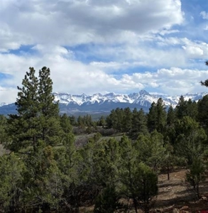 Premium Mountain View Homesite in Divide Ranch and Club Ridgway - image 3