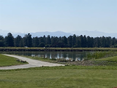 Premium Mountain View Homesite in Divide Ranch and Club Ridgway - image 4