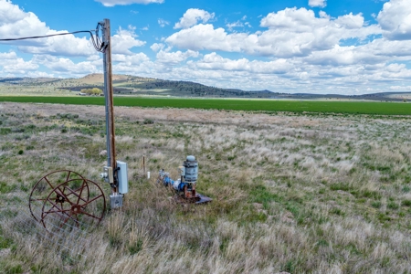 Eastern Oregon Sage Hen Farms Located in Hines - image 7