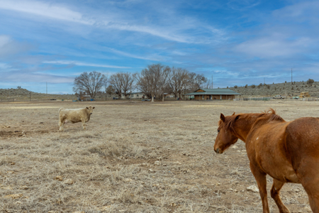 Eastern Oregon Sage Hen Farms Located in Hines - image 14