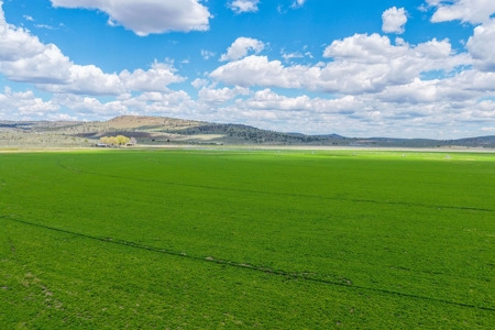 Eastern Oregon Sage Hen Farms Located in Hines - image 8