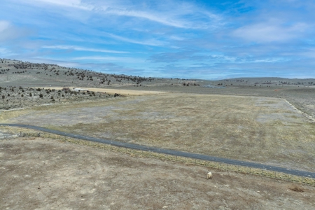 Eastern Oregon Sage Hen Farms Located in Hines - image 26