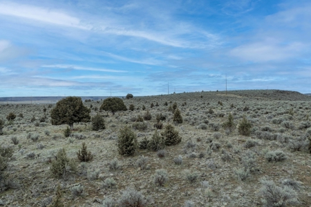 Eastern Oregon Sage Hen Farms Located in Hines - image 28
