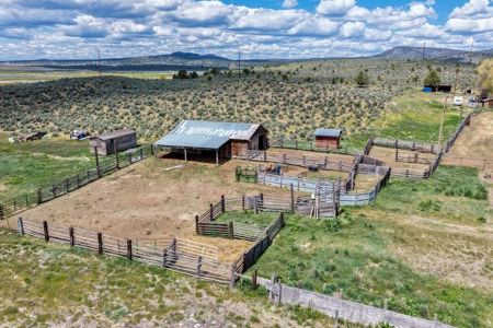 Eastern Oregon Sage Hen Farms Located in Hines - image 12