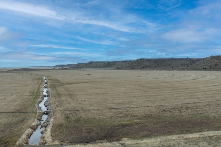 Eastern Oregon Sage Hen Farms Located in Hines - image 1