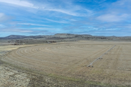 Eastern Oregon Sage Hen Farms Located in Hines - image 33