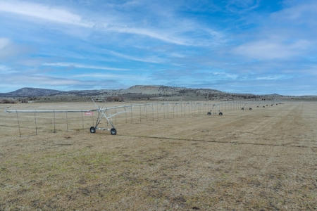 Eastern Oregon Sage Hen Farms Located in Hines - image 35