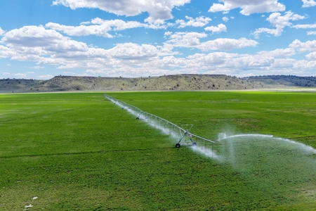Eastern Oregon Sage Hen Farms Located in Hines - image 11