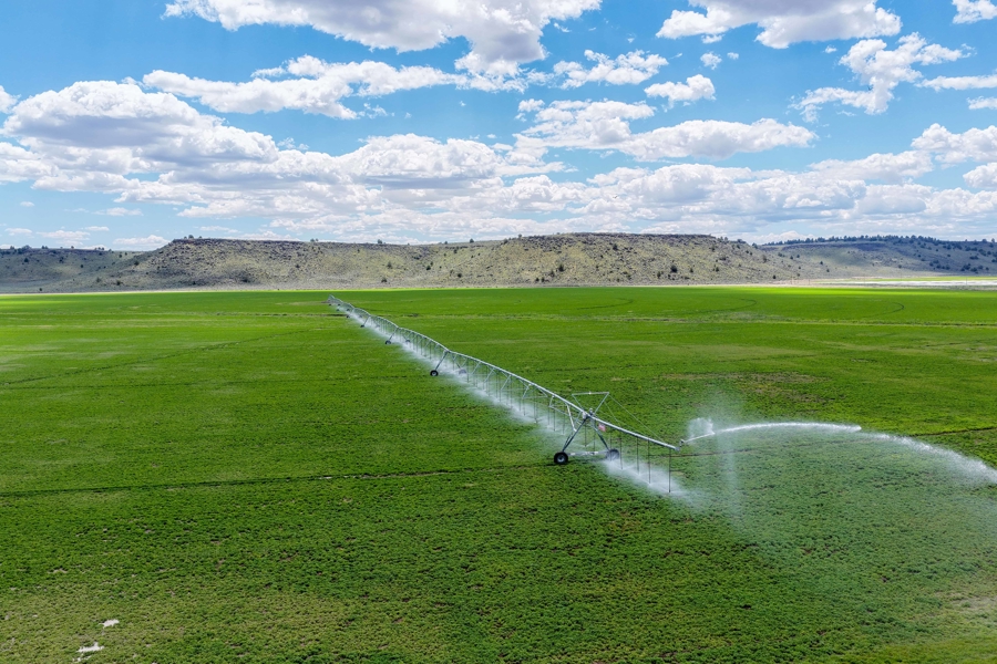 No Caption