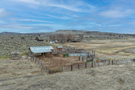 Eastern Oregon Sage Hen Farms Located in Hines - image 32