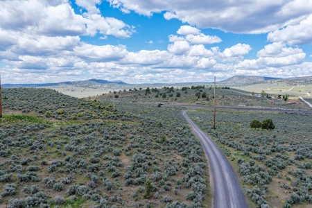 Eastern Oregon Sage Hen Farms Located in Hines - image 19