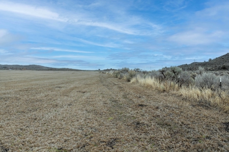Eastern Oregon Sage Hen Farms Located in Hines - image 36