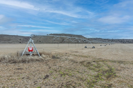 Eastern Oregon Sage Hen Farms Located in Hines - image 41