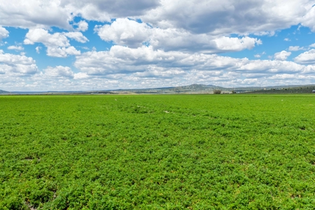 Eastern Oregon Sage Hen Farms Located in Hines - image 5