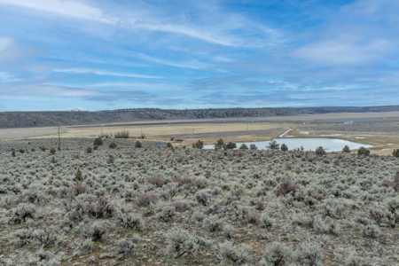 Eastern Oregon Sage Hen Farms Located in Hines - image 30
