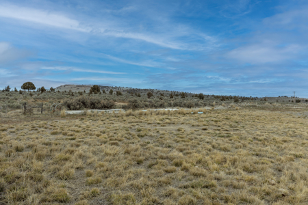 Eastern Oregon Sage Hen Farms Located in Hines - image 13